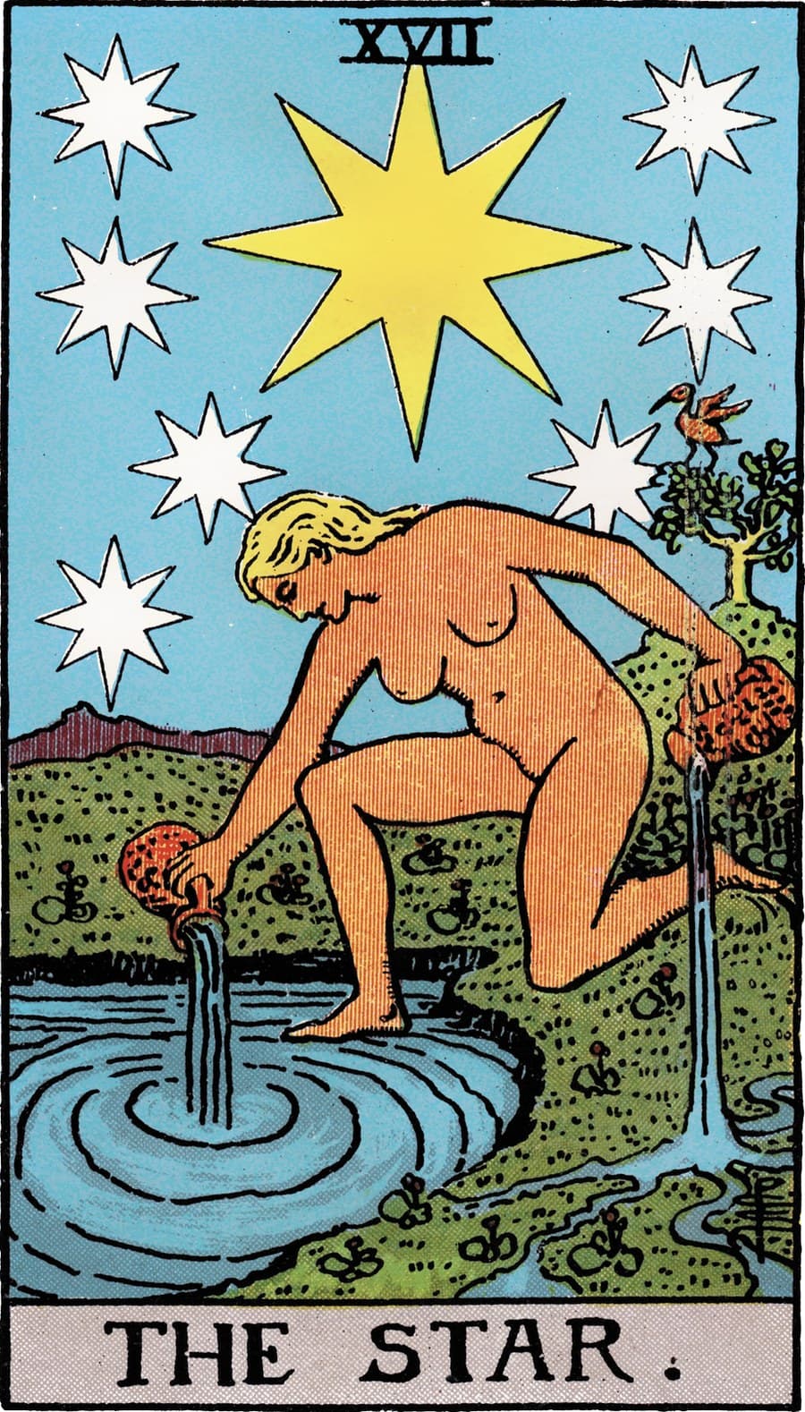 The Star